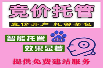 网络推广：竞价排名实战案例分析